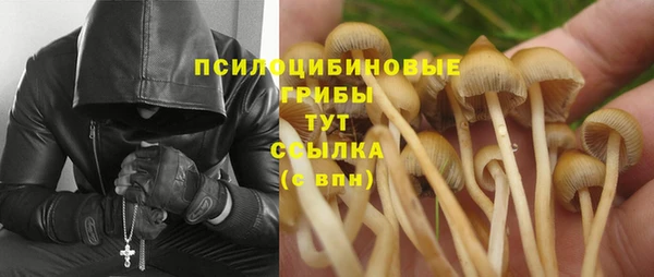 ALPHA PVP Семёнов