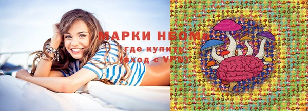 стаф Семилуки