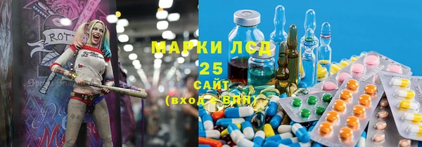 стаф Семилуки