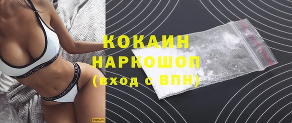 стаф Семилуки